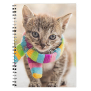 Caderno Espiral Bebês Mais Pobres   Tabby Kitten Rainbow Scarf