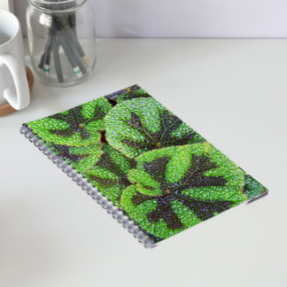 Caderno Espiral Begônia Cruz de Ferro Floral