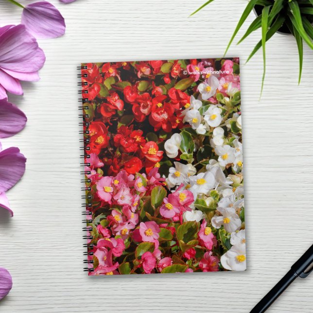 Caderno Espiral Begonias de Cera Colorida (Colorful Wax Begonias Journal Cover Photo)