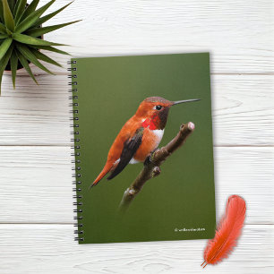 Caderno Espiral Beija-flor-do-mato-assombroso no ramo de cereja