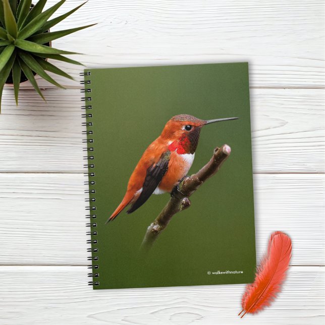 Caderno Espiral Beija-flor-do-mato-assombroso no ramo de cereja (Stunning Rufous Hummingbird on the Cherry Tree Journal Cover Photo)