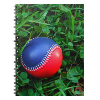 Caderno Espiral Beisebol Vermelho e Azul com Pintura Branca