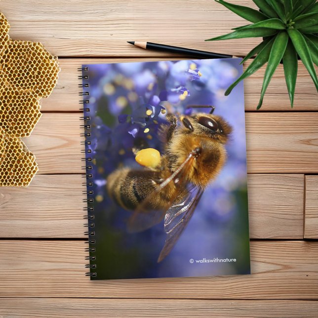 Caderno Espiral Bela Abelha de Honeybee no Lilac da Califórnia (Honeybee on the California Lilac Journal Cover Photo)