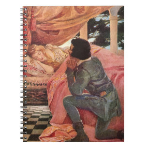 Caderno Espiral Bela Adormecida Vintage por Jessie Willcox Smith
