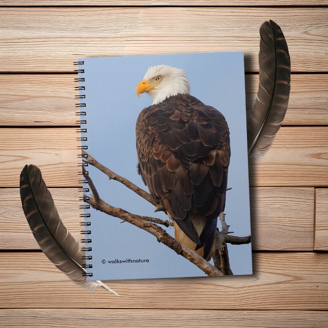 Caderno Espiral Bela águia-calva em uma árvore (Beautiful Bald Eagle in a Tree Journal Cover Photo)