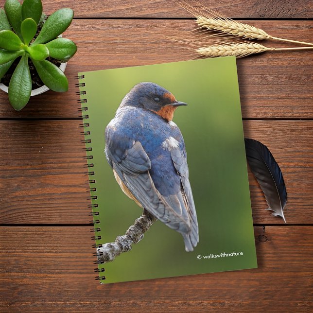 Caderno Espiral Bela andorinha em um galho (Beautiful Barn Swallow on a Branch Journal Cover Photo)