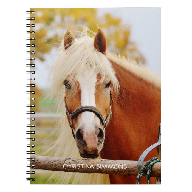 Caderno Espiral Bela Boca Personalizada Notebook (Frente)