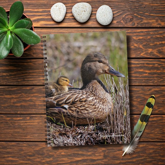 Caderno Espiral Bela Chillin' Mallard Mãe Pato e Pato Bebê (Chillin' Mallard Mom and Baby Journal Cover Photo)