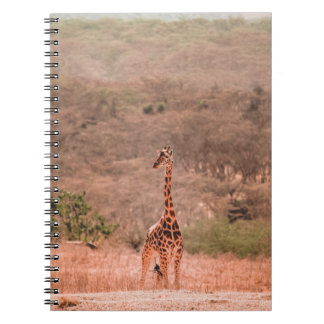 CADERNO ESPIRAL BELA GIRAFFE