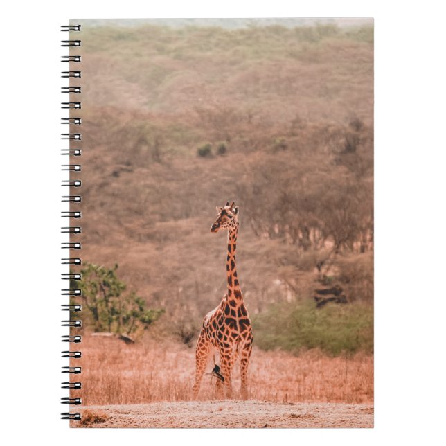 CADERNO ESPIRAL BELA GIRAFFE (Frente)