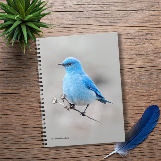 Caderno Espiral Bela Montanha Bluebird (Beautiful Mountain Bluebird on the Tansy Journal Cover Photo)
