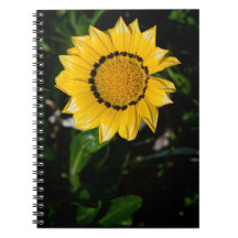 Bela Notebook Amarelo