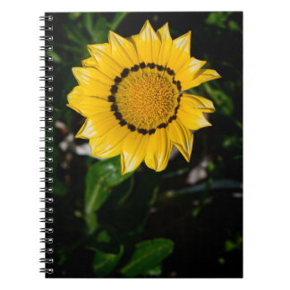 Caderno Espiral Bela Notebook Amarelo