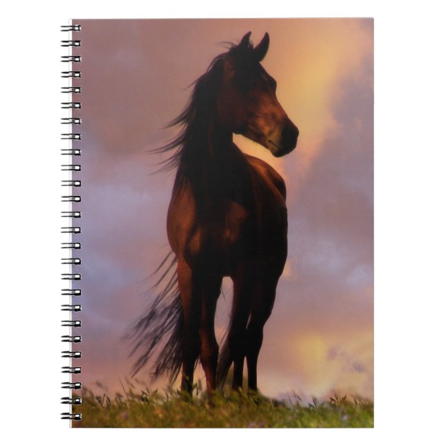 Caderno Espiral Bela Notebook de Cavalo (Frente)