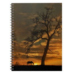 Caderno Espiral Bela Notebook de Cavalo