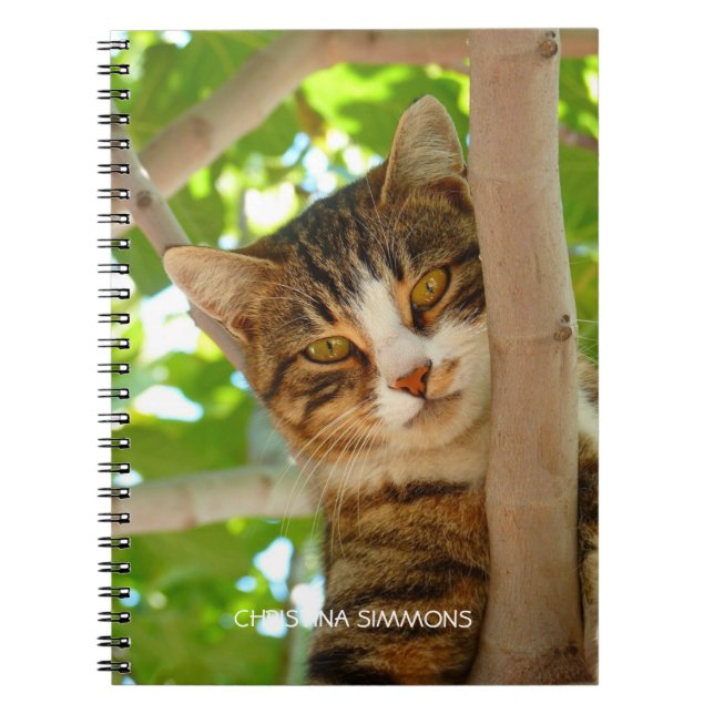 Caderno Espiral Bela Notebook Personalizado Cat (Frente)