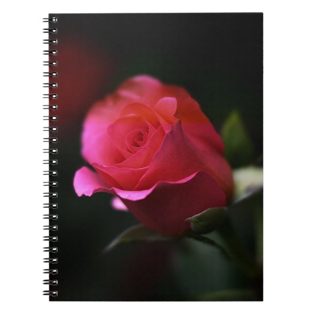 Caderno Espiral Bela Rosa Vermelha (Frente)