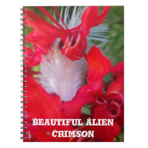 Caderno Espiral Beleza Delicada: Flor Vermelho com Pena Branca