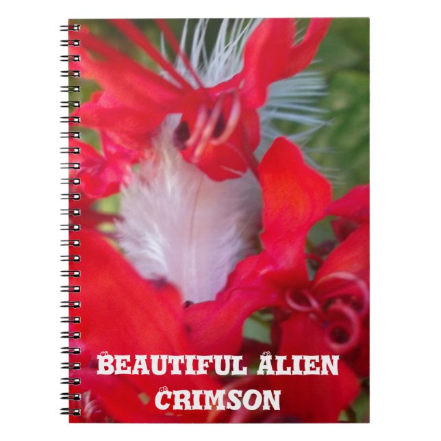 Caderno Espiral Beleza Delicada: Flor Vermelho com Pena Branca (Frente)