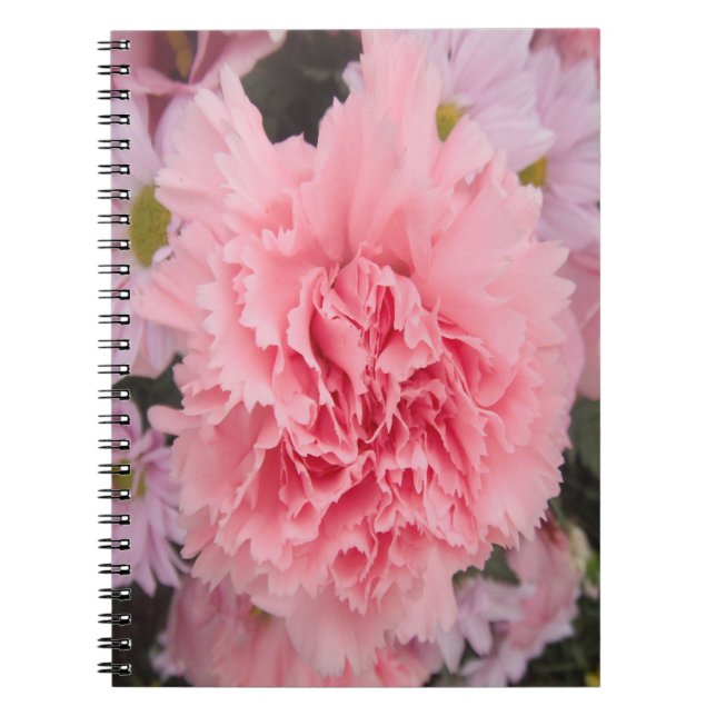 Caderno Espiral Beleza do cravo rosa para notebook (Frente)