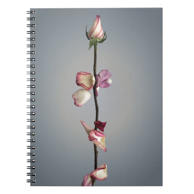 Caderno Espiral Beleza Rosa moderna e sentimento besta (Frente)