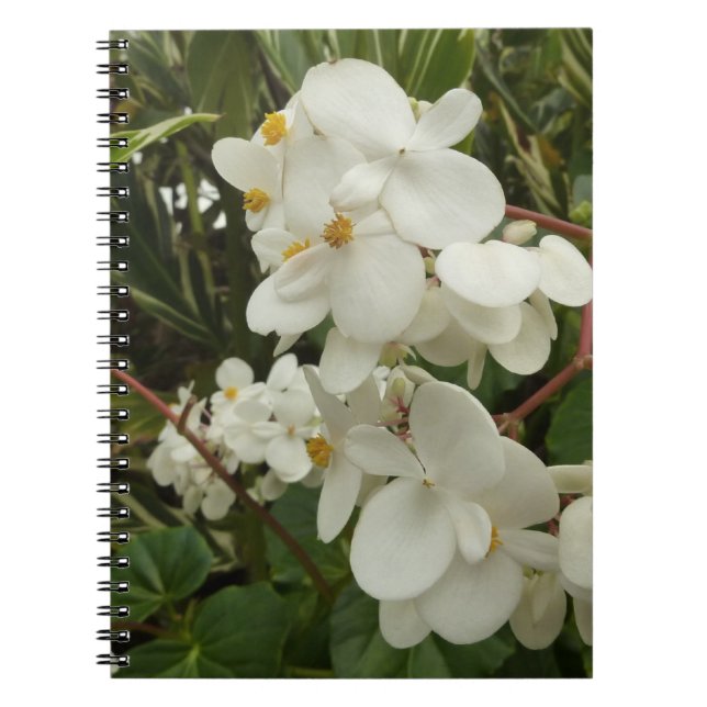Caderno Espiral Belga Branca Tropical Floral (Frente)