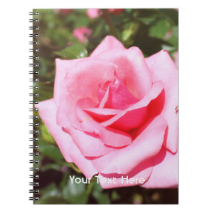 Caderno Espiral belíssima flor de rosa cor-de-rosa com corações do
