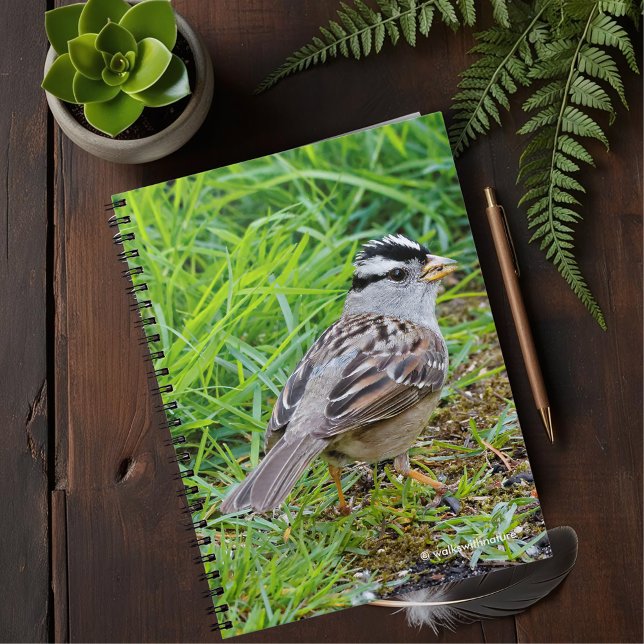 Caderno Espiral Belo alvoroço branco na grama (White-Crowned Sparrow in the Grass Journal Cover Photo)