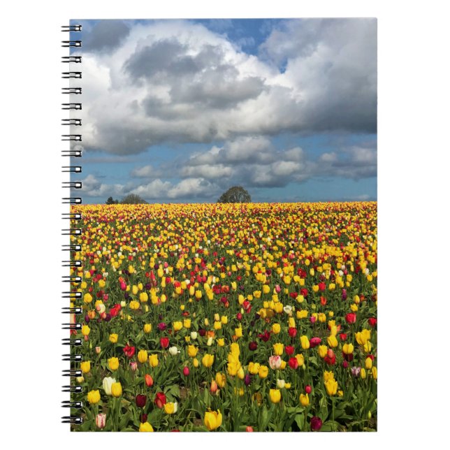 Caderno Espiral Belo Campo de Tulip, Oregon (Frente)