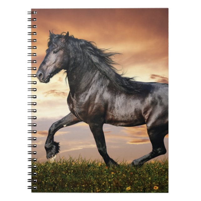 Caderno Espiral Belo Cavalo Negro (Frente)