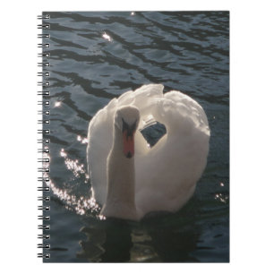 Caderno Espiral Belo cisne branco