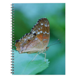Caderno Espiral Belo Danaus Plexippus Butterfly em Folha.