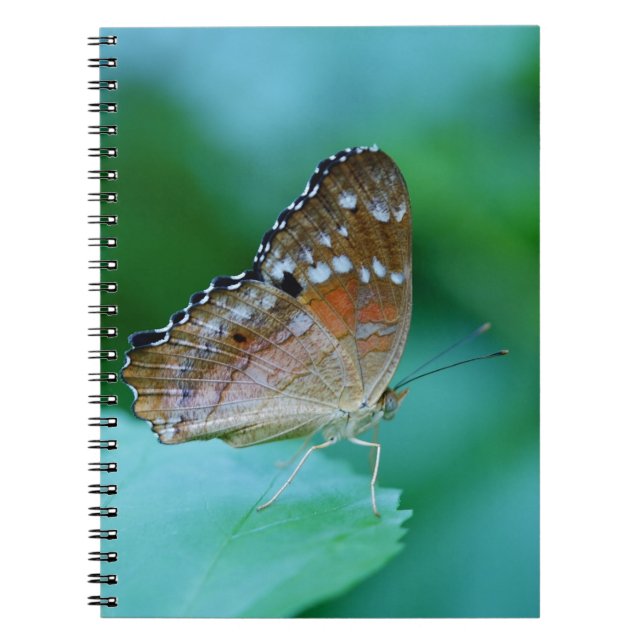 Caderno Espiral Belo Danaus Plexippus Butterfly em Folha. (Frente)
