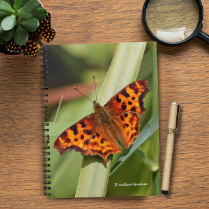 Caderno Espiral Belo Laranja Satyr Comma Butterfly