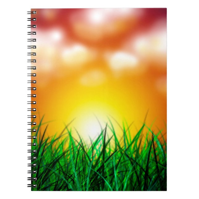 Caderno Espiral Belo nascer do sol sobre um campo de grama (Frente)