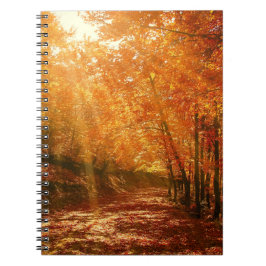 Caderno Espiral Belo outono