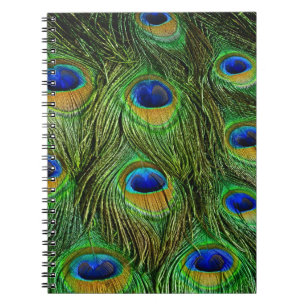 Caderno Espiral Belo Penas de Peacock