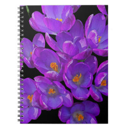 Caderno Espiral Belo Primavera roxo Crocuss Floral
