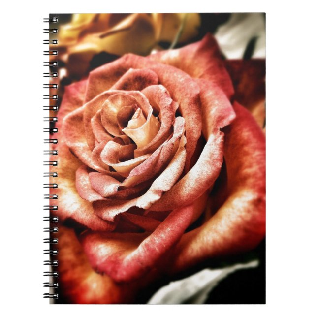 Caderno Espiral Belo Rosa (Frente)