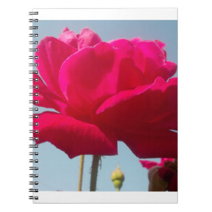 Caderno Espiral Belo Rosa Celestial Vermelho Belo Contra Azul