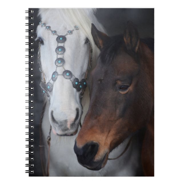 Caderno Espiral Belos Cavalos (Frente)