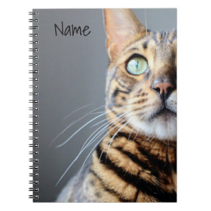 Caderno Espiral Bengala Cat Notebook