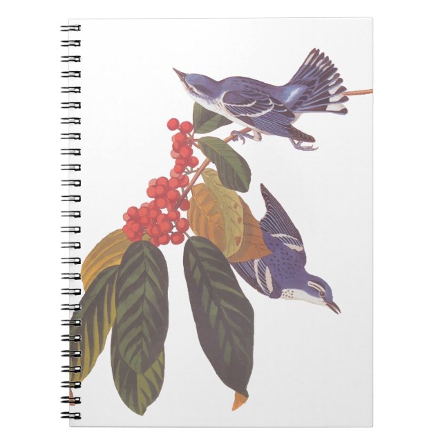 Caderno Espiral Berries Ceruleanos da Audubon com Bear Berries (Frente)