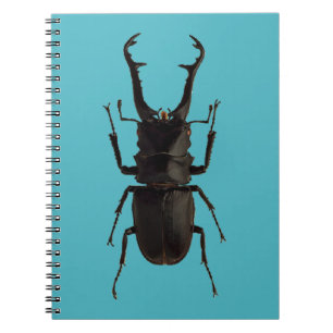 Caderno Espiral Besouro de Stag
