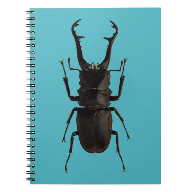 Caderno Espiral Besouro de Stag (Frente)