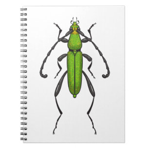 Caderno Espiral Besouro verde