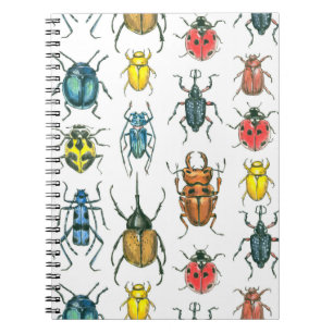 Caderno Espiral Besouros