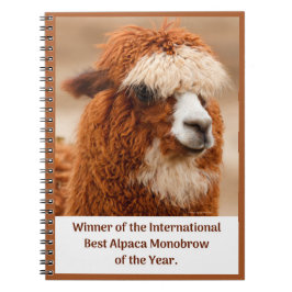 Caderno Espiral Best Alpaca Monobrow