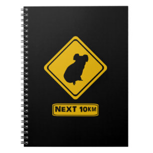 Caderno Espiral beware koalas