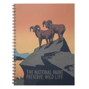 Caderno Espiral Bighorn Sheep American West Willife